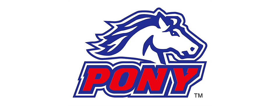 Pony League